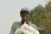 Cotton prices have reached a 15 year high