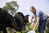 Lidl_Supplier_Beef