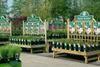 Garden Centre Group has been acquired by private equity firm Terra Firma