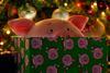 Percy Pig M&S Christmas advert