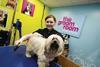 Pets at Home services such as grooming have been popular with customers