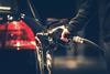Man filling up car at petrol station