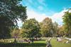 Picnics in London - Unsplash