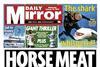 Mirror_newspaper_tesco_horse_mear