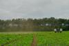Autonomous robot working on farm