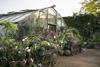 Petersham Nurseries Cafe Credit to Marimo Images www marimoimages  7 