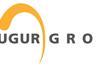 baugur group logo