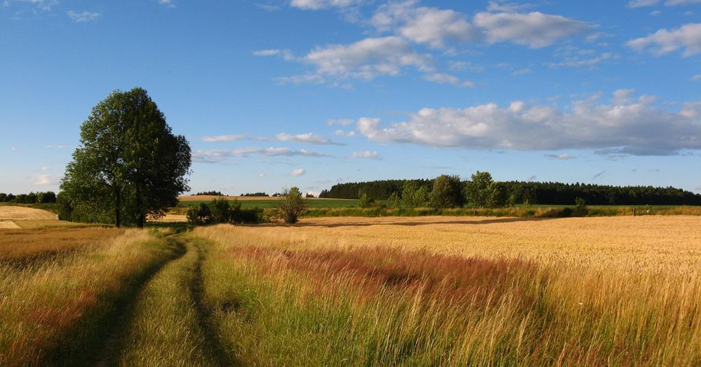 Risk to UK food systems increased over the last year, finds IGD