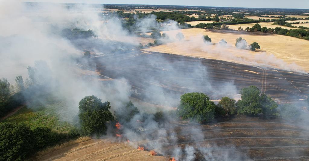 UK not sufficiently prepared for shocks to food supplies