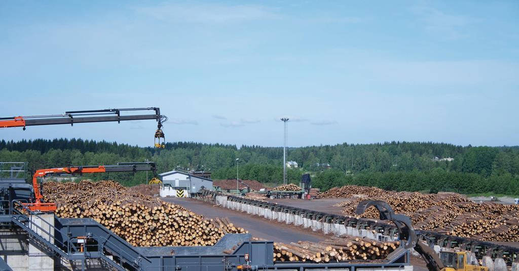 Analysis B Q S Finnish Timber From Forest To Shopfloor Analysis Retail Week