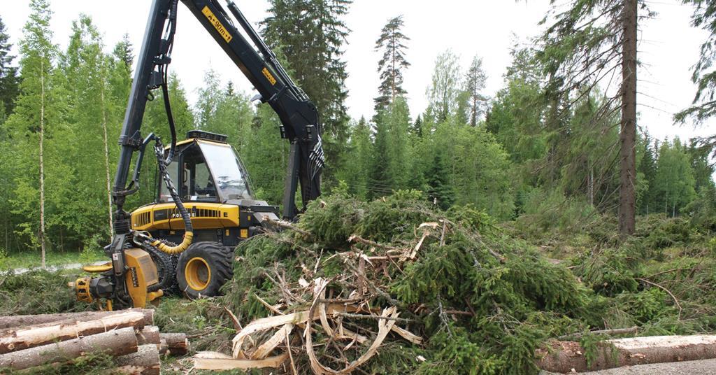 Analysis B Q S Finnish Timber From Forest To Shopfloor Analysis Retail Week Analysis B Q S Finnish Timber From Forest To Shopfloor Analysis Retail Week