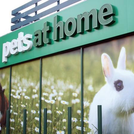 Pets at Home: latest news, analysis and trading updates