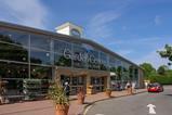 Blue Diamond Garden Centre, Harlestone Heath