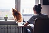 Woman working at home with cat on windowsill
