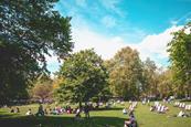 Picnics in London - Unsplash