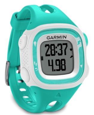 currys forerunner 45