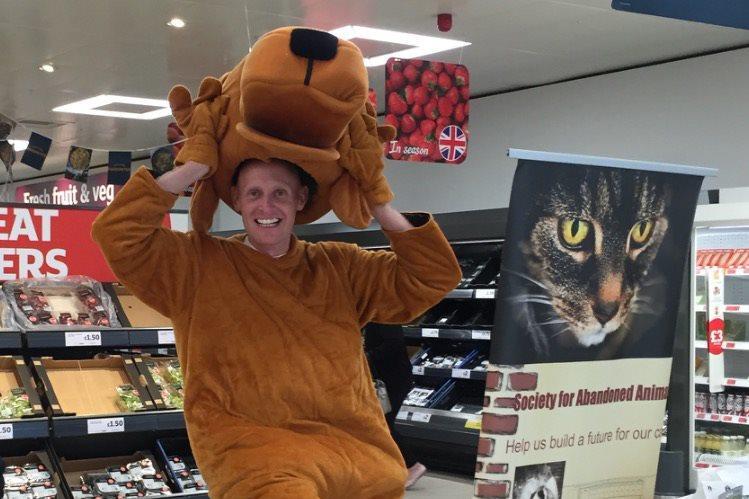 frontline for cats sainsburys