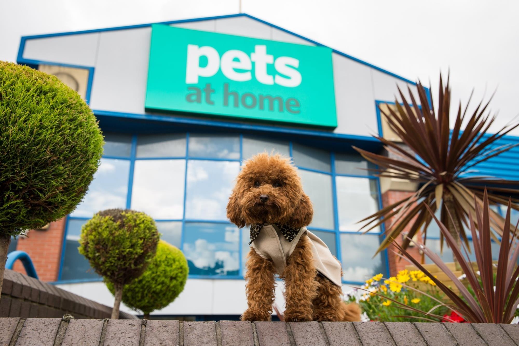 Pets at Home Strategy Pets at Home Retail Week