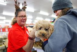 Staff, customer and dog at Jollyes Pets