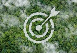 Tress in the shape of a target