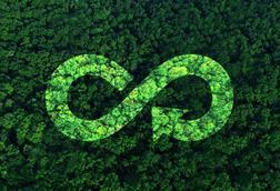 Sustainability-symbol-imposed-on-top-of-forest-index