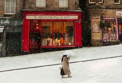 julia-solonina-TJuiqVzQs5c-unsplash