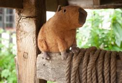 Clyde Capybara Soft Toy By Jellycat