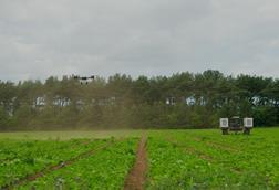 Autonomous robot working on farm