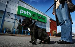 Pets at Home has confirmed its intention to float as it revealed sales surged 11.7 per cent in the 40 weeks to January 2.