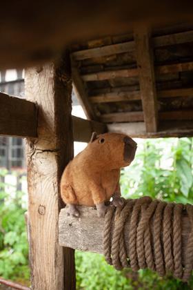 Clyde Capybara Soft Toy By Jellycat 0+