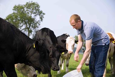 Lidl_Supplier_Beef