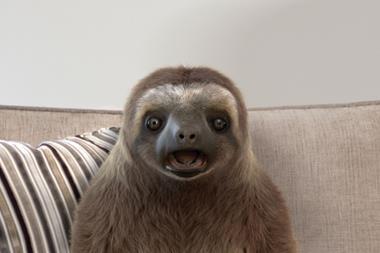 Sofaworks Neal the Sloth appears on Gogglebox idents