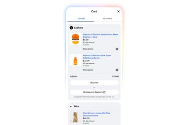 Goolge universal cart showing Sephora and Nike purchases