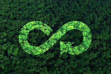 Sustainability-symbol-imposed-on-top-of-forest-index