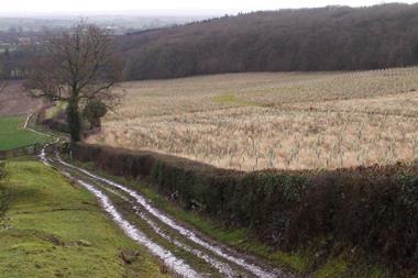 STF   Farm Woodland PR