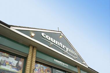 Profits at rural specialist Countrywide fell last year despite a jump in sales