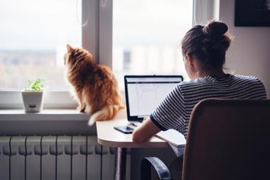 Woman working at home with cat on windowsill