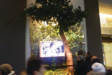 The idea has been created by fashion duo Dolce & Gabbana and consists of a series of trees that appear to be growing in large pots inside the windows.