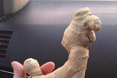 Emma Dutton picked up this llama-shaped piece of ginger from her local Morrisons store.