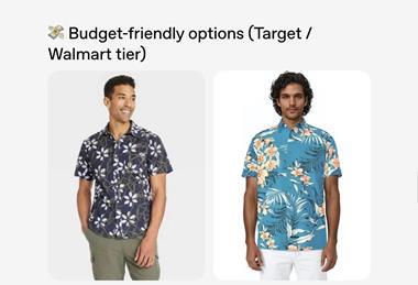 Screenshot of shopping for a shirt using ChatGPT