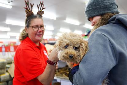 Staff, customer and dog at Jollyes Pets