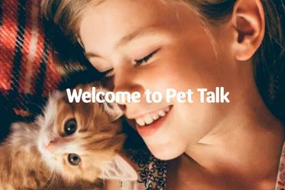 pets at home pet talk-prospect