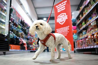 Busy Shoppers in Store (1)