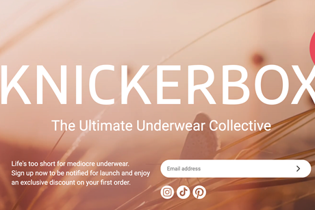 Ann Summers - Knickerbox coming soon