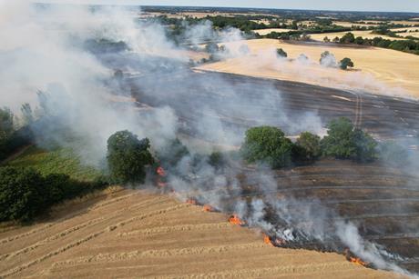 Wild fires on farm land in Essex