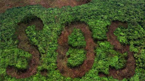 Deforestation SOS