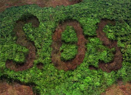 Deforestation SOS