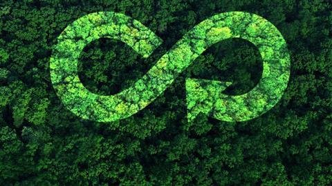 Sustainability-symbol-imposed-on-top-of-forest