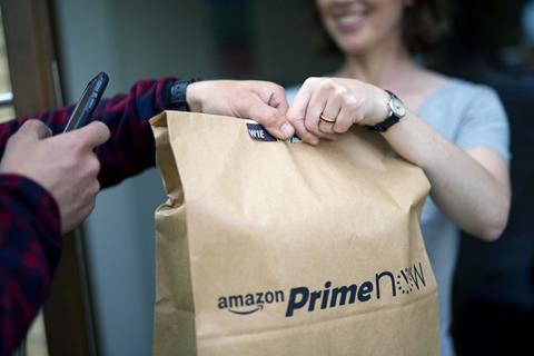 Amazon Prime delivery bag hand