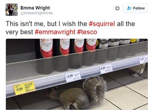 Squirrel in the wine aisle
